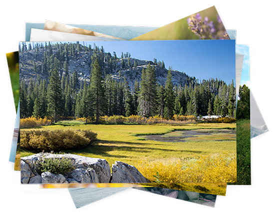 HOW DOES THE FREEPRINTS APP WORK?