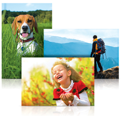FreePrints photos