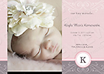 Customer Review by Erica K.
